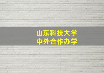 山东科技大学 中外合作办学